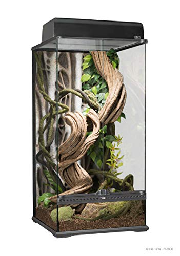 Exo Terra Glas-Terrarium für Reptilien, 45x45x90 cm